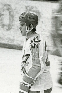 Сергей Лубнин